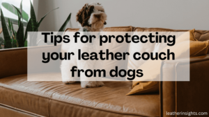 protecting leather couch from dogs