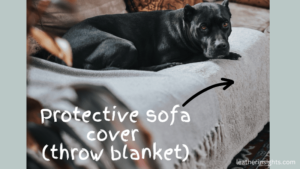 How to protect a leather couch from dog nails