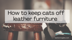 How to keep cats off leather furniture