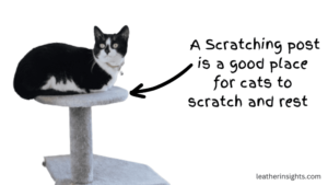 how to keep cats from scratching furniture
