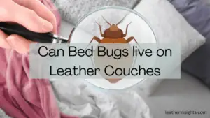 Can bed bugs live in leather couches?